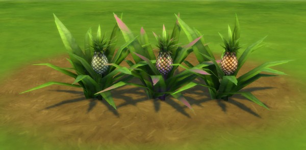  Mod The Sims: Aloha Pineapples by Snowhaze