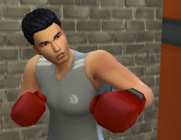  Mod The Sims: Athlete Work from Home by NoelleBellefleur