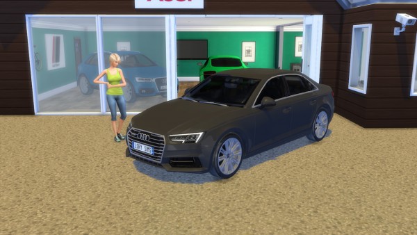  Lory Sims: Audi A4