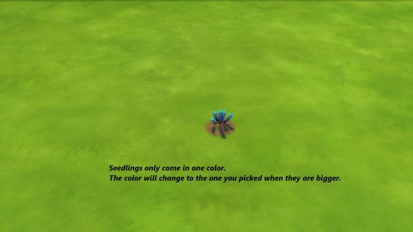  Mod The Sims: Rainbow Orb Plant by Snowhaze
