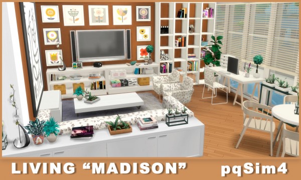  PQSims4: Living Madison