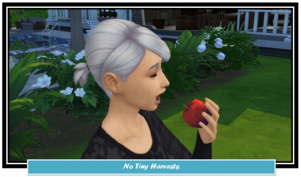  Mod The Sims: No Tiny Harvestables by LittleMsSam