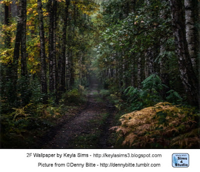  Keyla Sims: Forest Wallpapers