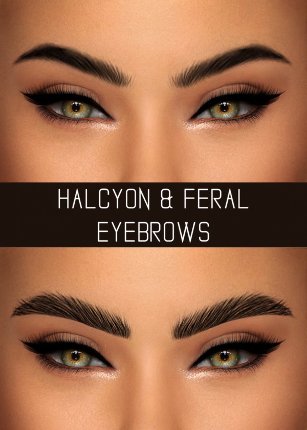  Simpliciaty: Halycon and feral eyebrows
