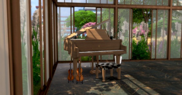  Asteria Sims: Steinway Piano and Violin