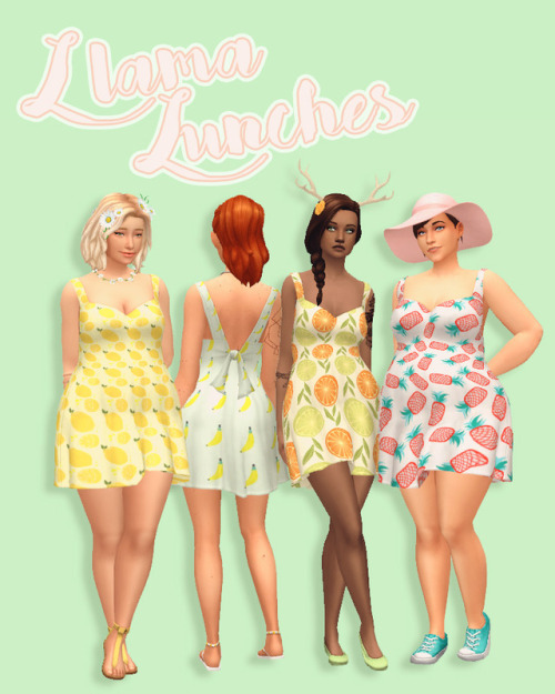  Hamburgercakes: LLama Lunches dress