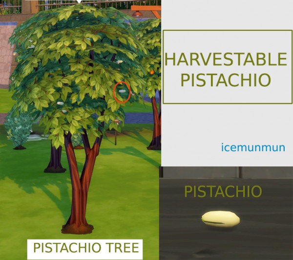  Mod The Sims: Custom Harvestable Pistachio by icemunmun