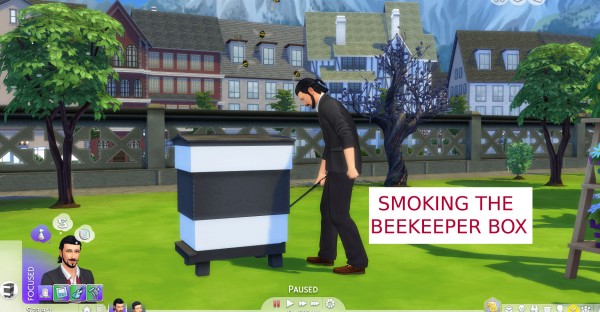  Mod The Sims: Functional Beekeeper Box by icemunmun