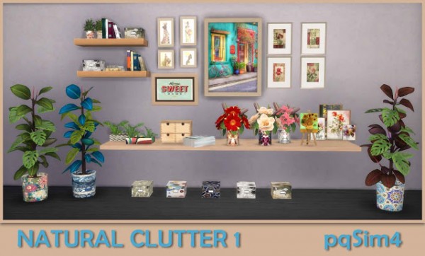  PQSims4: Natural Clutter 1