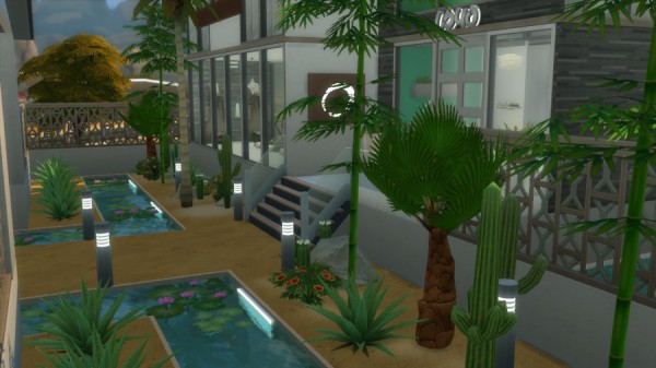  Sims Artists: Spa Earth care