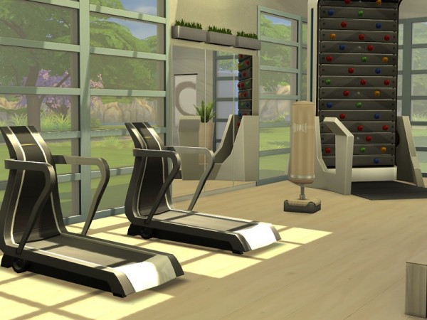  The Sims Resource: Spa and sports center by flubs