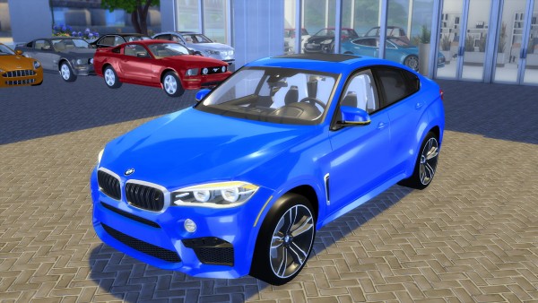  Lory Sims: BMW X6 M 2016