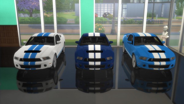  Lory Sims: Ford Shelby Mustang GT500