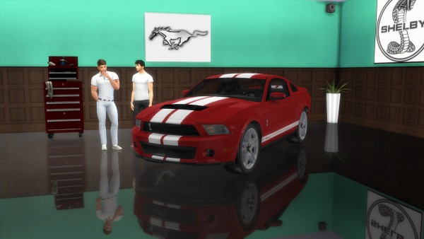  Lory Sims: Ford Shelby Mustang GT500
