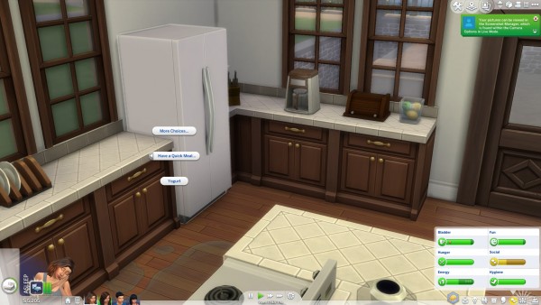  Mod The Sims: Punie More Fridge Quick Meals!! by punie