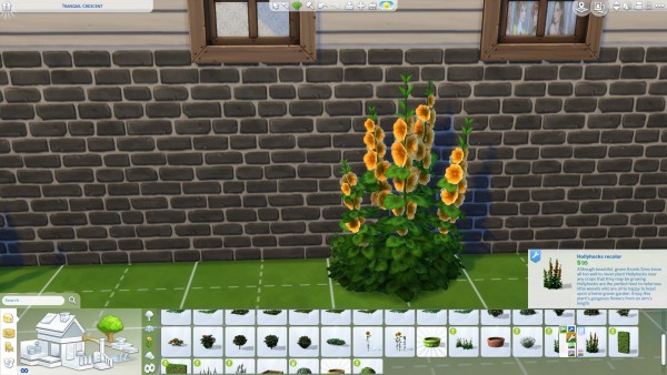  Mod The Sims: Hollyhocks in new colors! by Nuttchi