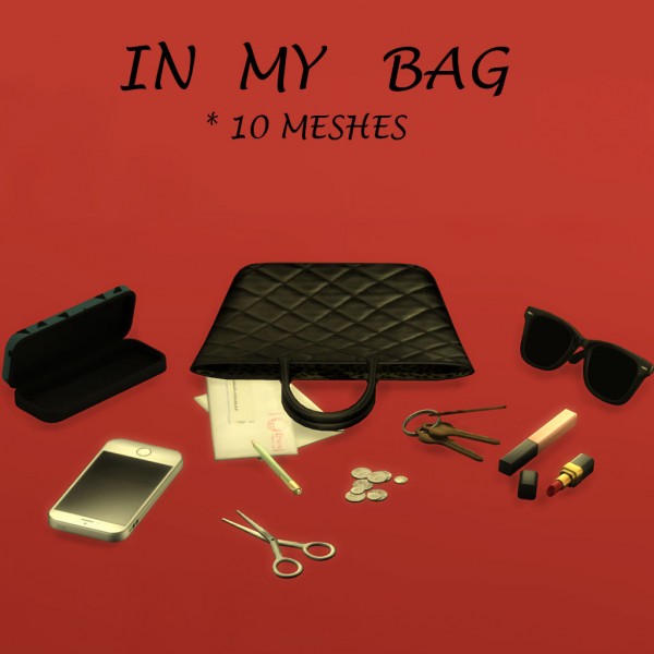  Leo 4 Sims: In My Bag