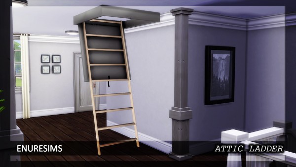  Enure Sims: Attic Ladder