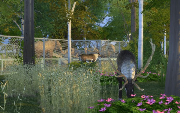  Rabiere Immo Sims: Zoo The beautiful view