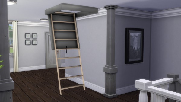  Enure Sims: Attic Ladder