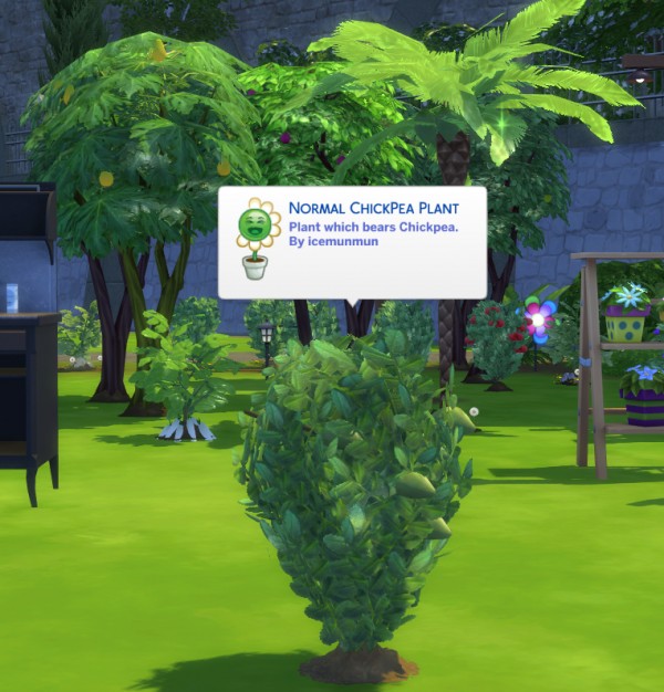  Mod The Sims: Custom Harvestable ChickPea by icemunmun