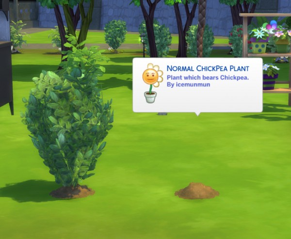  Mod The Sims: Custom Harvestable ChickPea by icemunmun