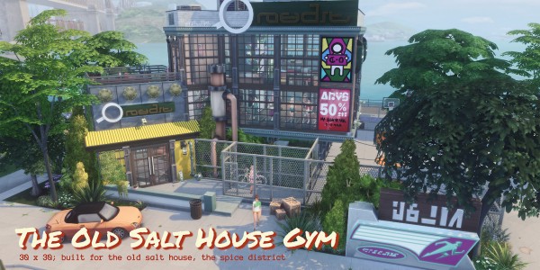  Picture Amoebae: The Old Salt House Gym