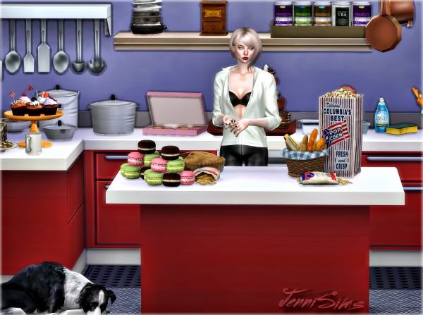 Jenni Sims Kitchen Supplies Decoratives 21 Items • Sims 4 Downloads