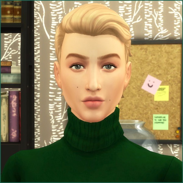  Mod The Sims: Joely Sterling by Hellfrozeove
