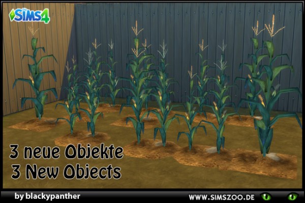 Blackys Sims 4 Zoo: Corn plants by blackypanther