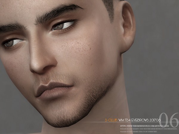  The Sims Resource: Eyebrows M 201706 by S Club
