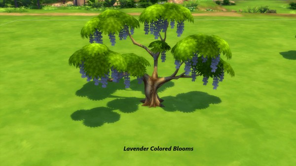  Mod The Sims: Wisteria Wisteria Tree by Snowhaze