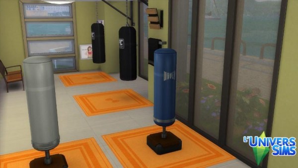  Luniversims: Fit Sims sports hall