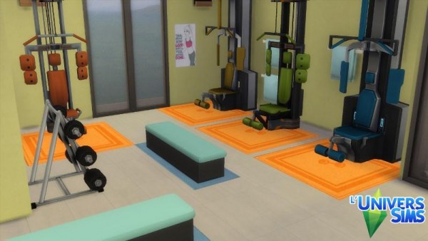  Luniversims: Fit Sims sports hall