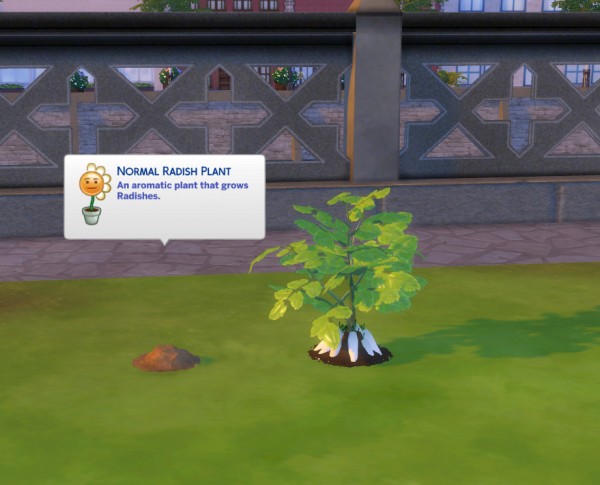  Mod The Sims: Custom Harvestable Radish by icemunmun