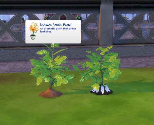  Mod The Sims: Custom Harvestable Radish by icemunmun