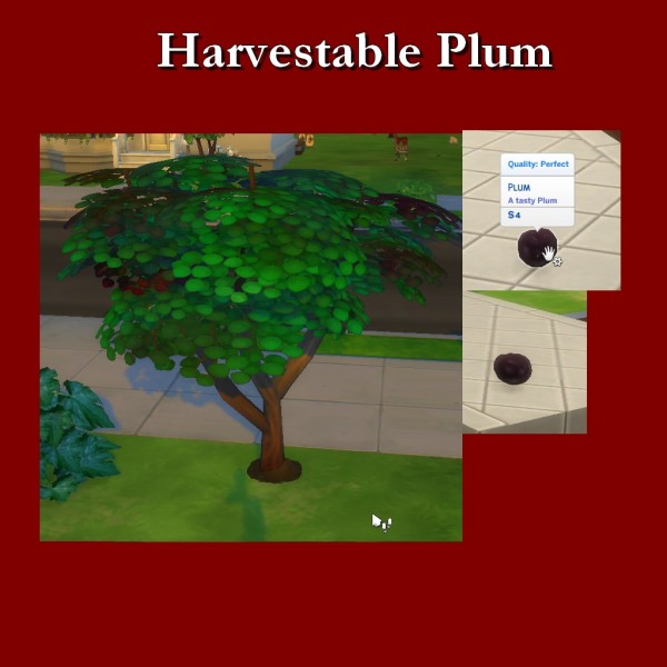  Simsworkshop: Harvestable Plum by Leniad