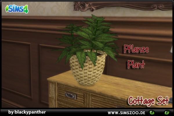  Blackys Sims 4 Zoo: Cottage Set of plant by blackypanther