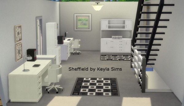  Keyla Sims: Sheffield House