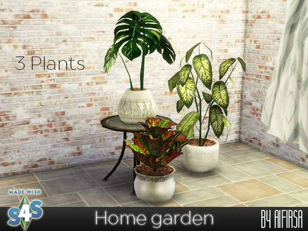  Aifirsa Sims: Home garden