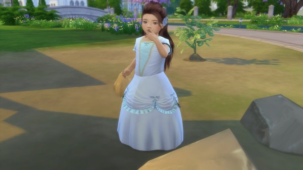  Enure Sims: Toddler princess costume
