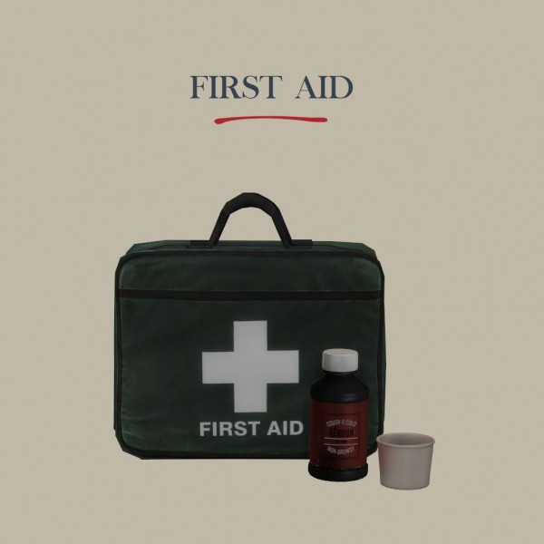  Leo 4 Sims: First aid