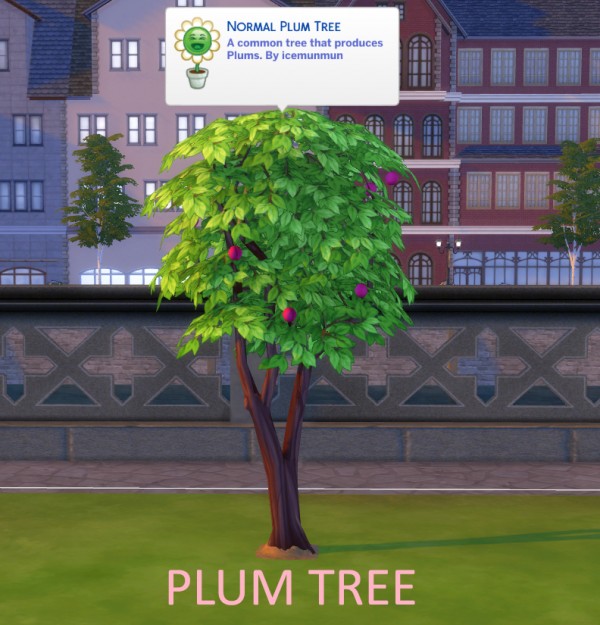  Mod The Sims: Harvestable Season fruit tress   Mango, Guava, Plum by icemunmun