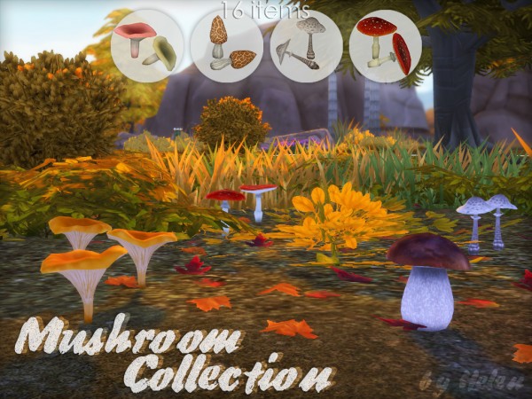  Helen Sims: Mushroom Collection