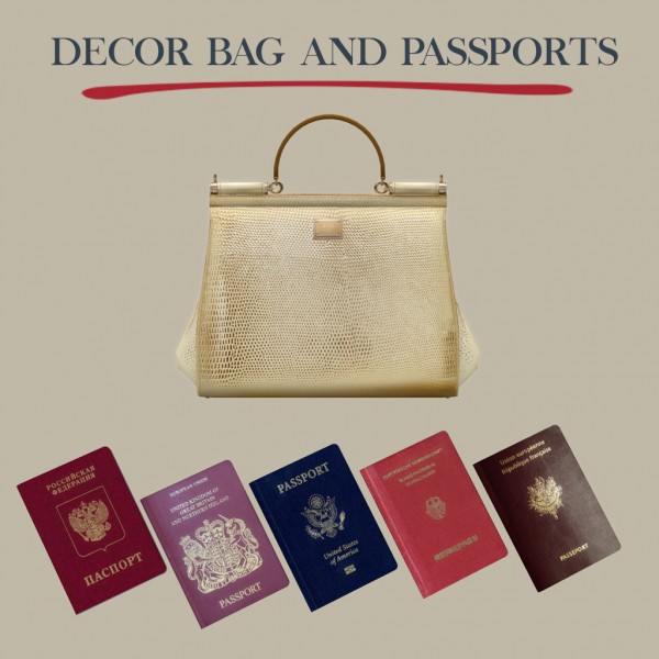 Leo 4 Sims: Bag and Passports