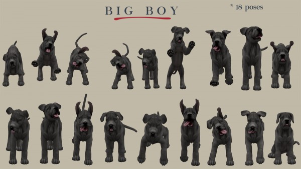  Leo 4 Sims: Big boy decor