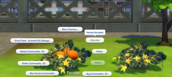 Mod The Sims: The Pumpkin Project by icemunmun