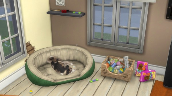  Enure Sims: Cats and Dogs Stuff