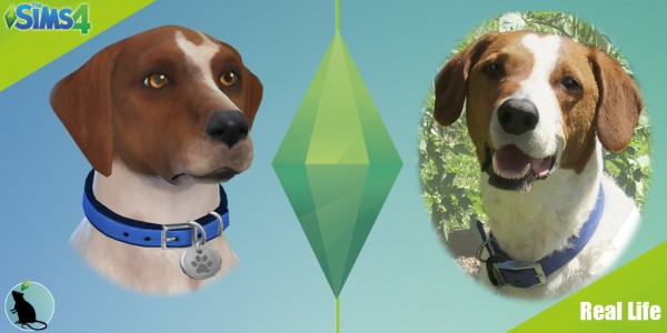 Simsworkshop: My dog Emil by Standardheld