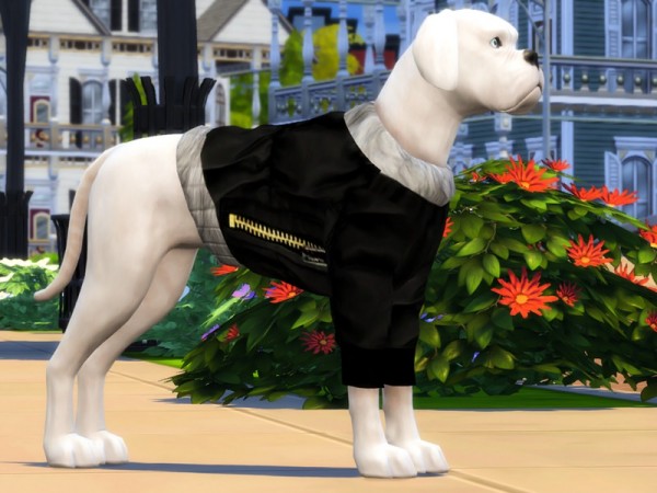  The Sims Resource: Large Dog Parka Coats by simmerkate
